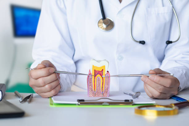 Best Pediatric Emergency Dentist in Cabana Colony, FL
